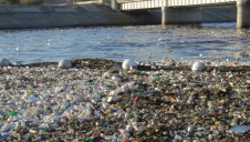Pictured: Plastic pollution in Long Beach, California. Image: As You Sow